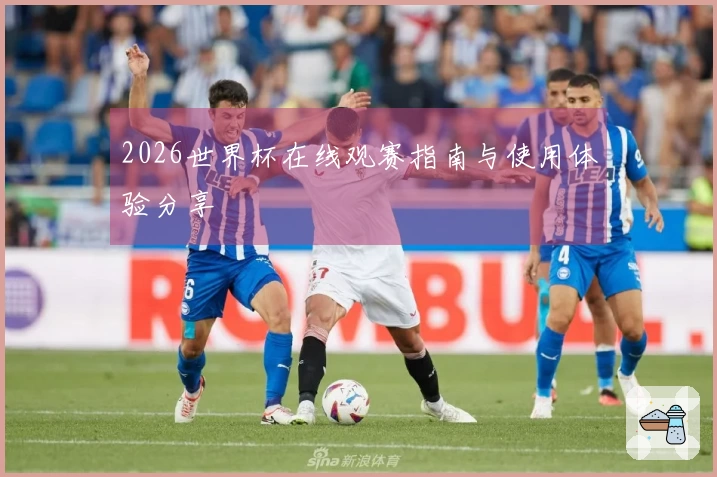 2026世界杯在线观赛指南与使用体验分享