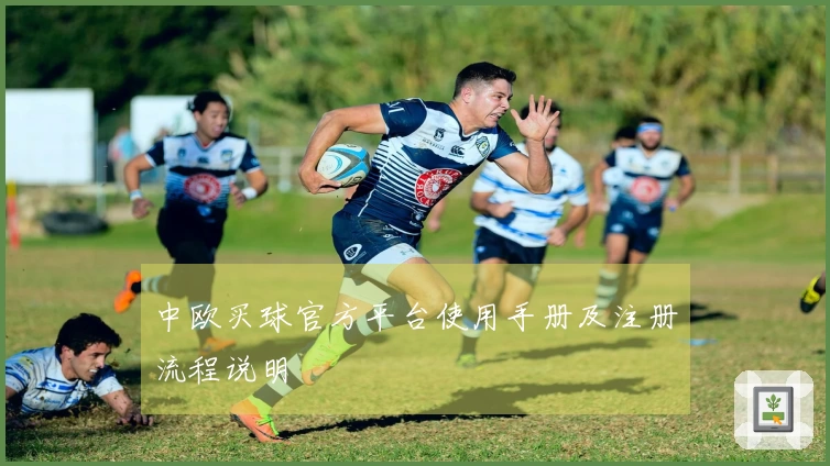 中欧买球官方平台使用手册及注册流程说明