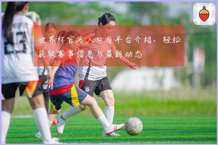 世界杯官方入口与平台介绍,轻松获取赛事信息与最新动态